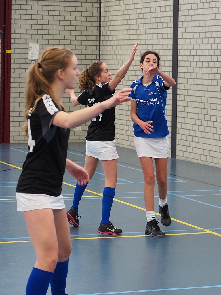 Korfbal A3-13 februari-017.jpg